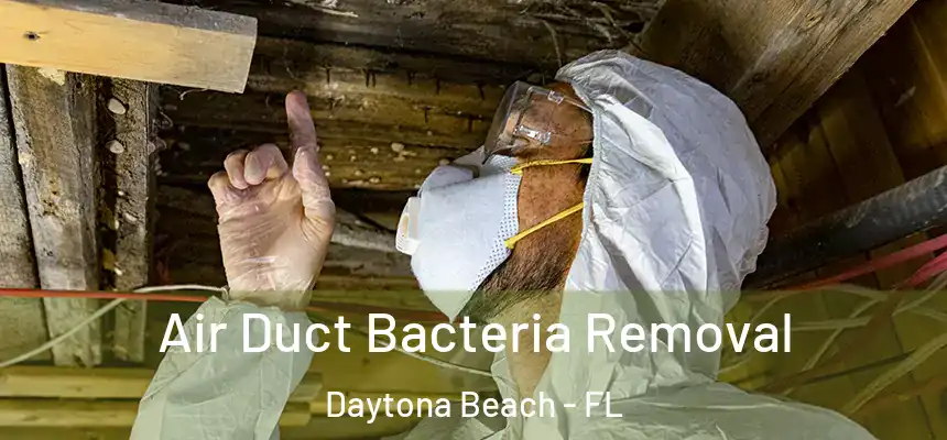  Air Duct Bacteria Removal Daytona Beach - FL