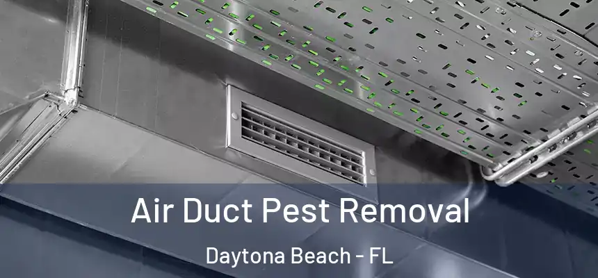  Air Duct Pest Removal Daytona Beach - FL