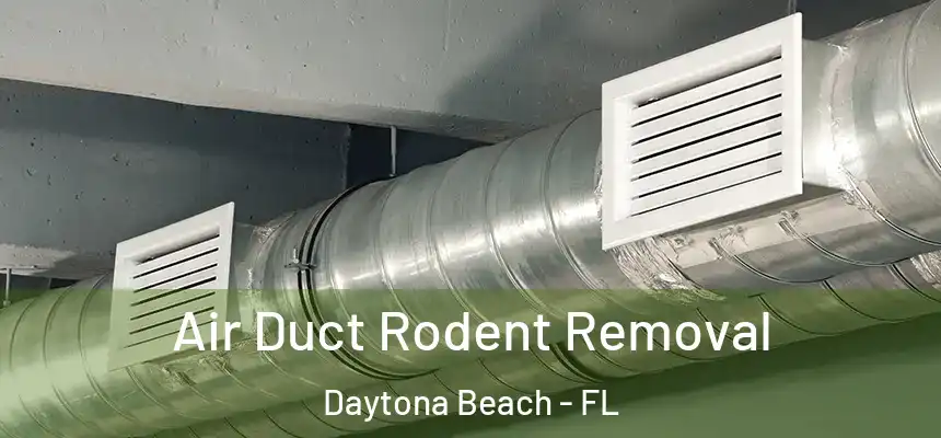 Air Duct Rodent Removal Daytona Beach - FL