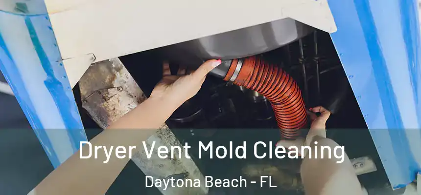  Dryer Vent Mold Cleaning Daytona Beach - FL
