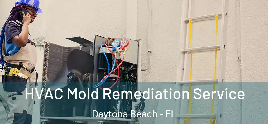 HVAC Mold Remediation Service Daytona Beach - FL