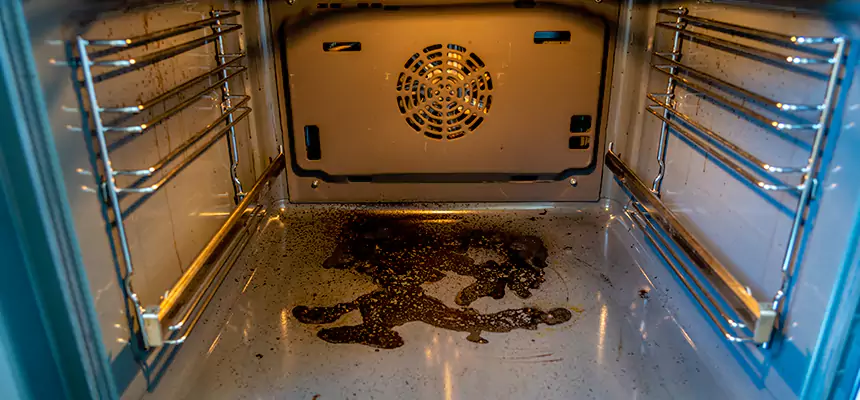 Our Dryer Vent Mold Cleaning Services in Daytona Beach, FL