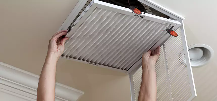 Our Insect Removal from Air Ducts Services in Daytona Beach, FL