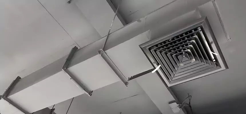 Our Rodent Droppings In Vents Services in Daytona Beach, FL