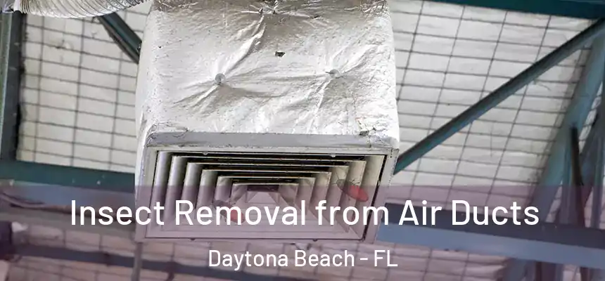  Insect Removal from Air Ducts Daytona Beach - FL