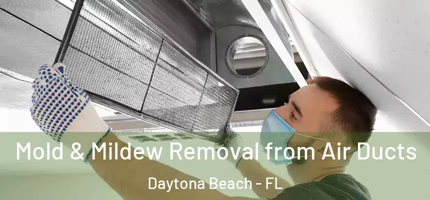 Mold & Mildew Removal from Air Ducts Daytona Beach - FL