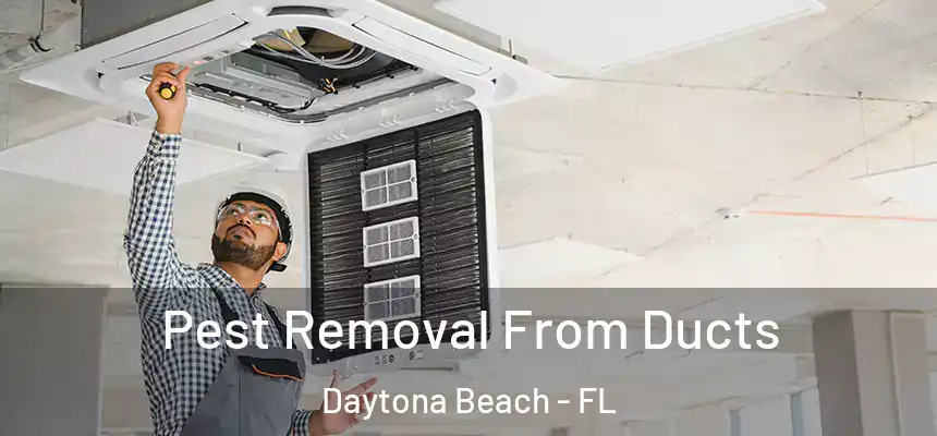 Pest Removal From Ducts Daytona Beach - FL