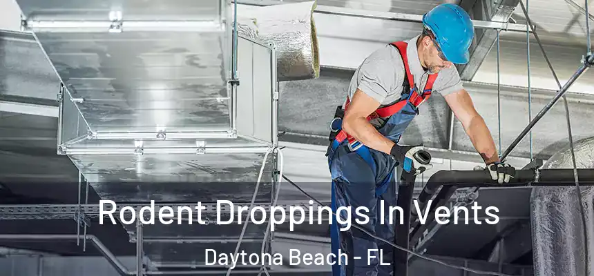  Rodent Droppings In Vents Daytona Beach - FL