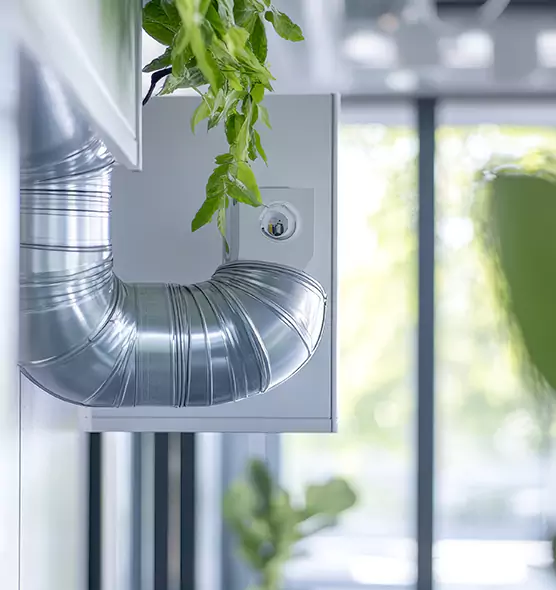 Professional Eco-Safe Dryer Vent Cleaning in Daytona Beach, FL