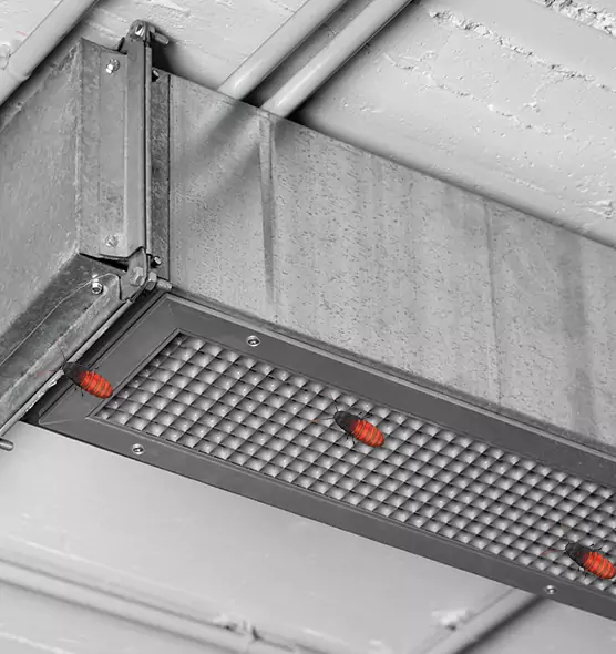 Affordable Insect Removal from Air Ducts in Daytona Beach, FL