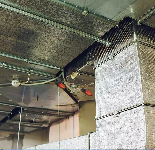 Why Homeowners & Businesses Trust Us in Daytona Beach, FL?