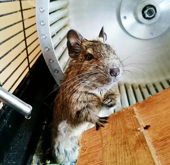 Why Homeowners & Businesses Trust Us Daytona Beach, FL