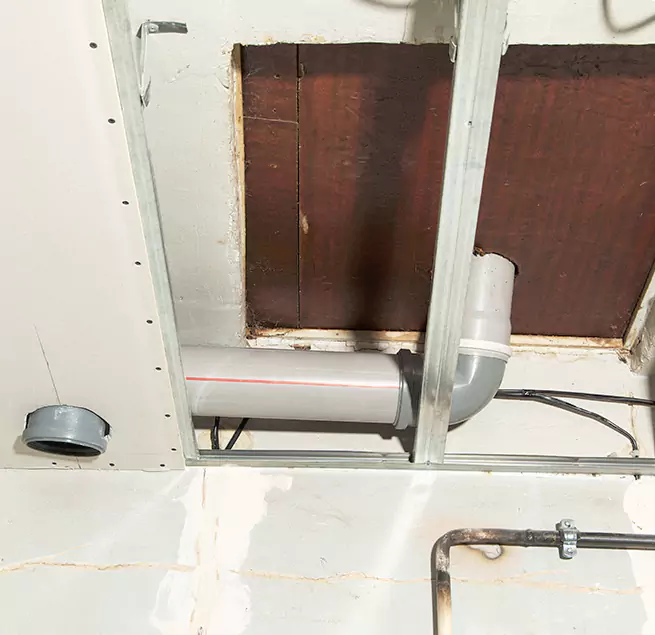 Why Homeowners & Businesses Trust Us in Daytona Beach, FL?