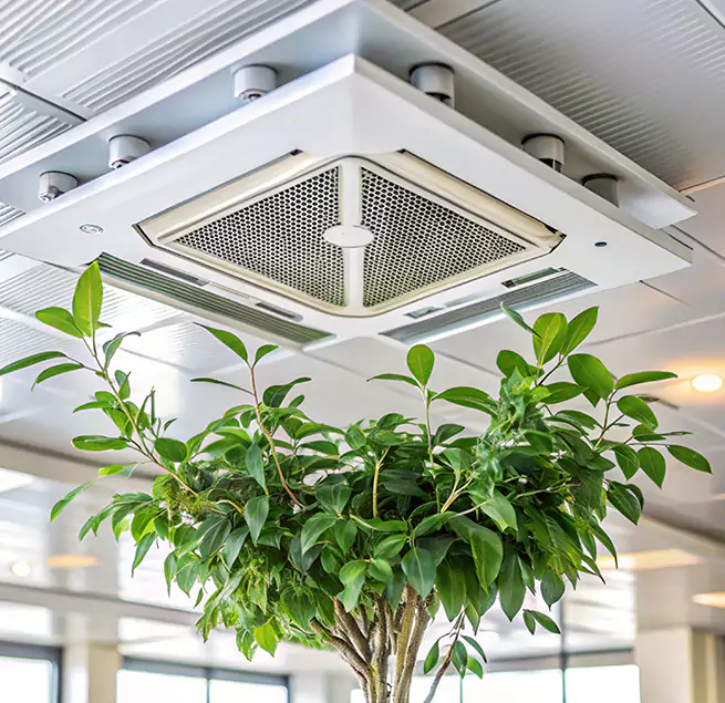 Why Homeowners & Businesses Trust Us in Daytona Beach, FL?