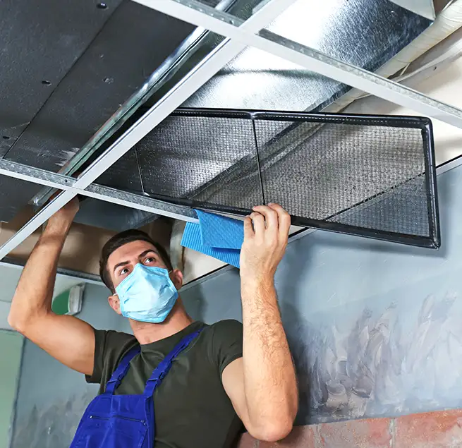 Why Homeowners & Businesses Trust Us in Daytona Beach, FL?