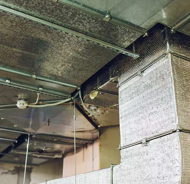 Why Homeowners & Businesses Trust Us in Daytona Beach, FL?