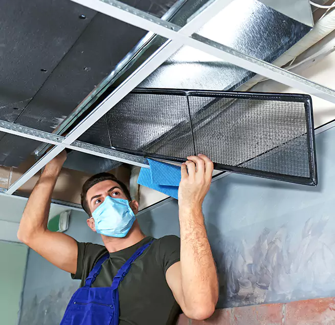 Why Homeowners & Businesses Trust Us in Daytona Beach, FL?