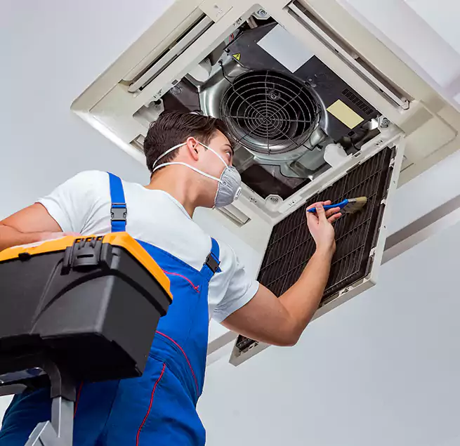 Why Homeowners & Businesses Trust Us in Daytona Beach, FL?